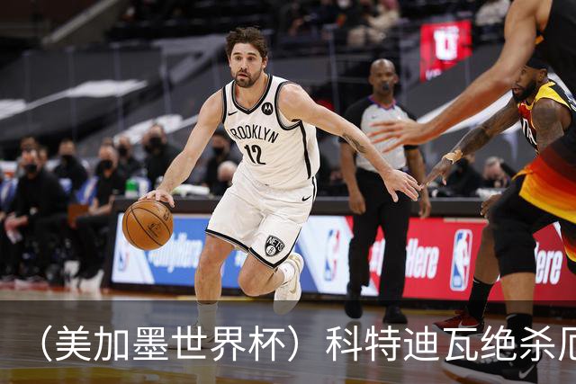 （美加墨世界杯）科特迪瓦绝杀厄瓜多尔 瑞典5:1大胜突尼斯